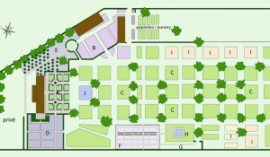 plan du jardin / garden plan